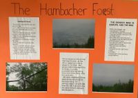 Hambach Forest 2