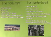 Hambach Forest 3